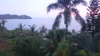 tropical ocean view